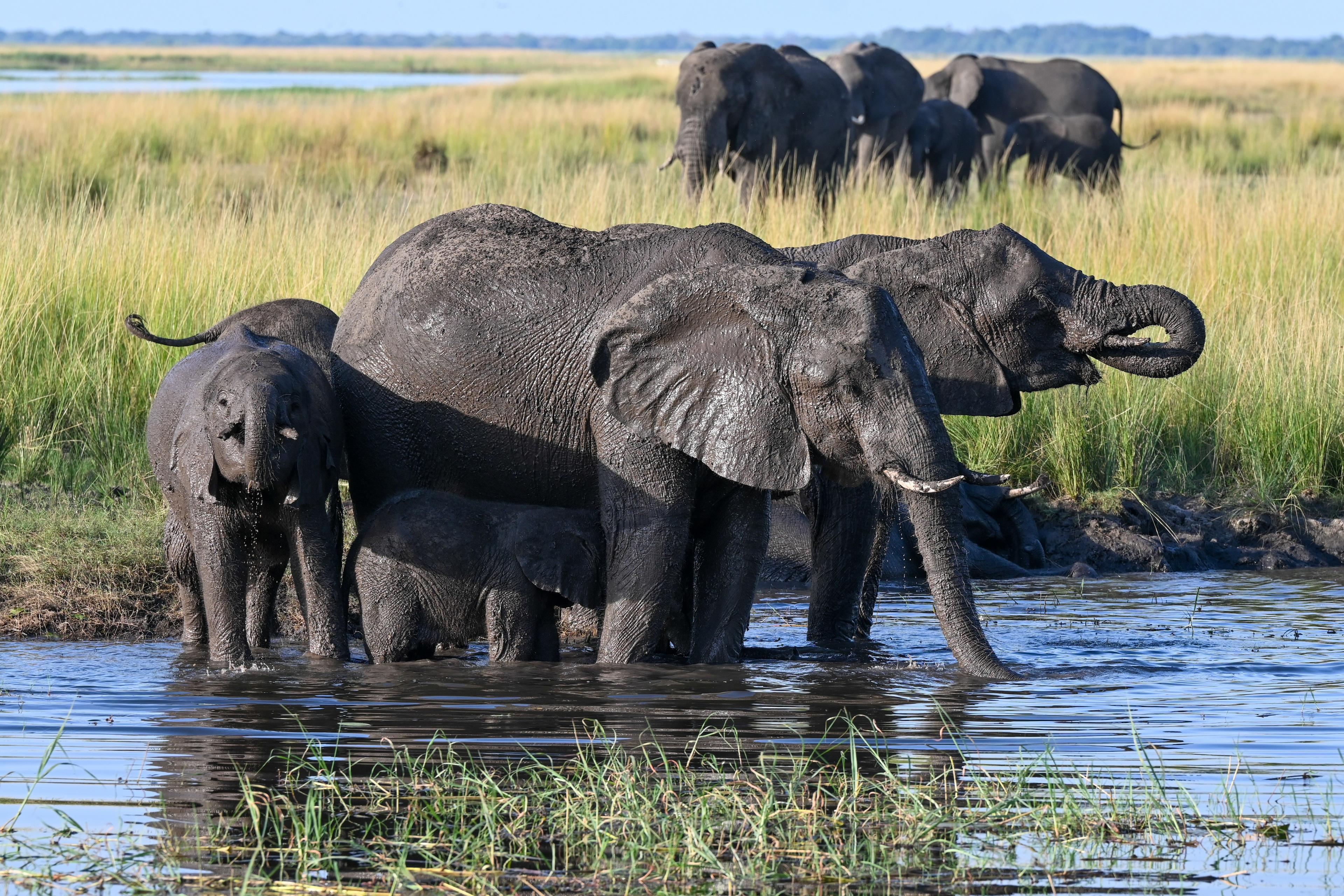 Exploring Southern Africa -- Windhoek to Victoria Falls - background banner